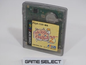 HAMSTER PARADISE 2 NINTENDO GAME BOY COLOR GBC e ADVANCE GBA JP JAP CGB-BHMJ-JPN - Foto 1 di 1