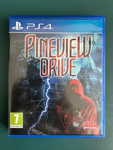 ps4 PINEVIEW DRIVE Spiel REGION FREE PAL EXKLUSIVER TITEL - Bild 1 von 3