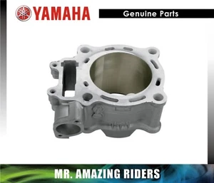 YAMAHA Genuino 2012-2021 YFZ450R YFZ 450 R ATV OEM CILINDRO JARRA DIÁMETRO ESTÁNDAR - Imagen 1 de 1