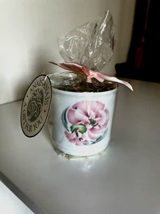Cacharel Anais-Anais Parfume Candle Made In France 3 1\2" - Picture 1 of 6