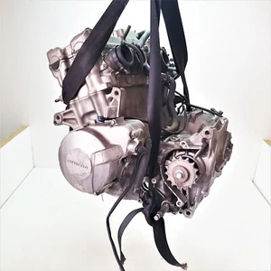 BLOCCO MOTORE HONDA HORNET 600 1999 2000 2001 2002 GARANTITO - Bild 1 von 24