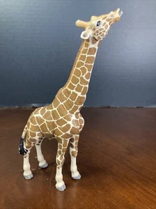 Schleich Male Giraffe Eating D-73527 Animal Figure 2008 Adult Retired Toy 7 inch - Picture 1 of 6