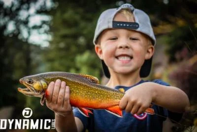 Fishing Lures - Dynamic Lures HD TROUT, Crankbait, 2.25" Multiple Color Patterns