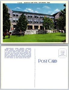 Mountain View Hotel Gatlinburg TN Postcard - Picture 1 of 1