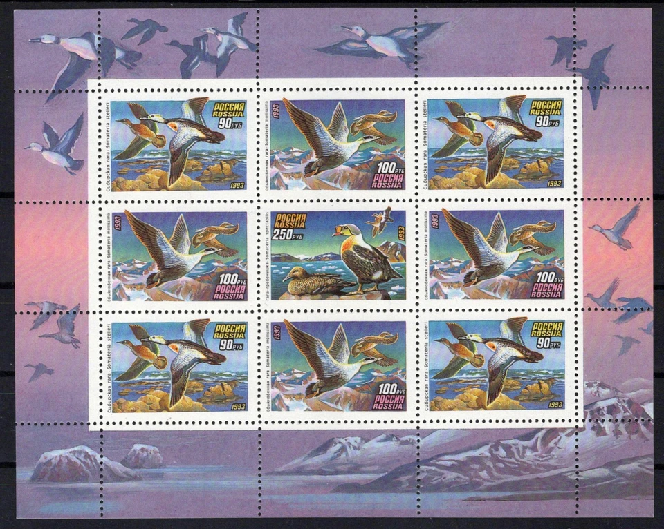 Rusia y Unión Soviética 6157a MNH Patos Pájaros ZAYIX 0724M0183 Foto 1 de 1