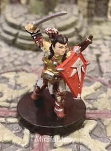 Valeros Human Fighter D&D Miniature Dungeons Dragons Pathfinder Paladin Warrior - Picture 1 of 1