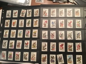 ICOLLECTZONE US 1953-2002 State Birds Complete Set VF used - Picture 1 of 1