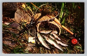 Postcard Good Day's Catch Fish Basket Rod Marinette WIS Multi Cancels VTG c1956 - Picture 1 of 4