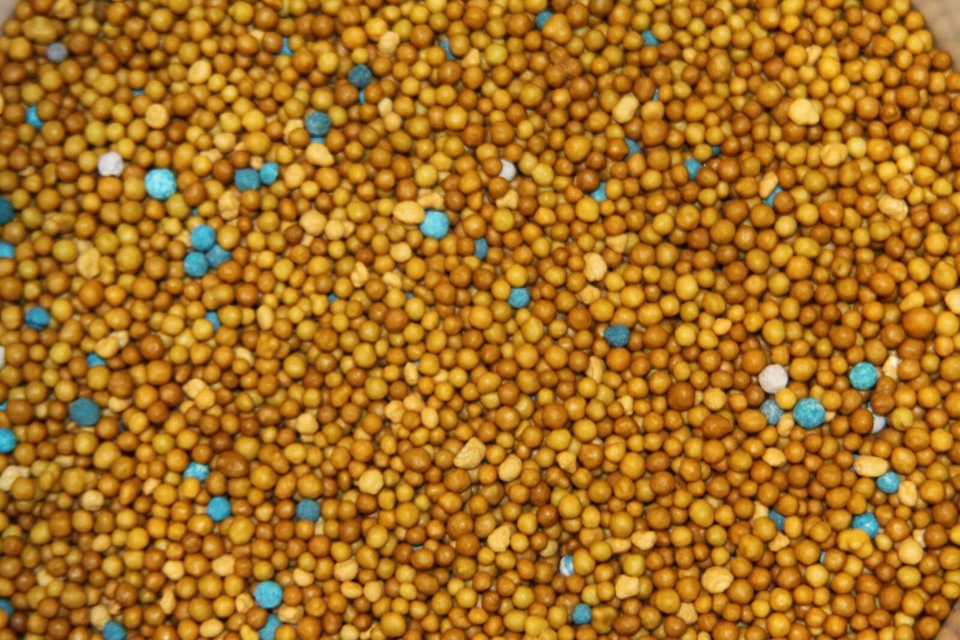 MARKENLOS 1 kg Langzeitdünger Osmocote 5 8-9 M Vollversorgung für 8-9 Monate