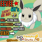 Eevee Competitivo "Shiny Or Not" 6Ivs Pokemon Let´S Go Pikachu & Eevee ?