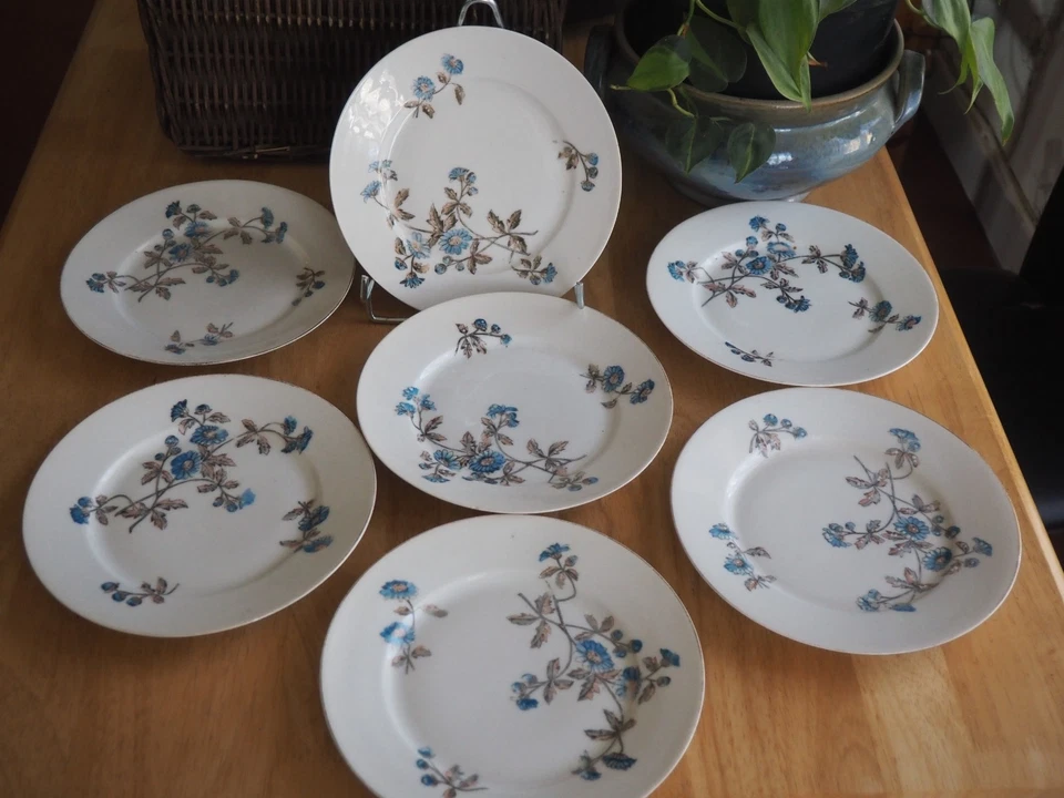 6 ANCIENNES ASSIETTES A DESSERT PORCELAINE DLG LIMOGES. DECOR FLORAL .DIAM 21 CM - Photo 1/4