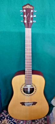Washburn  D42S acoustic guitar- Ritter hardcase - Right hand - lovely to play - image 1 of 4