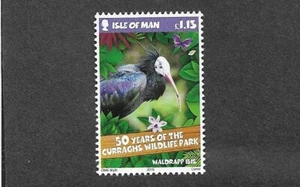BIRDS WALDRAPP IBIS MNH SINGLE ISLE OF MAN 2015 - Picture 1 of 1