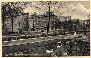 AK Oppeln, Schlesien, Balkoinsel-Tierpark, Kunstverlag Scholz Breslau (Nr. 1701) - Bild 1 von 2