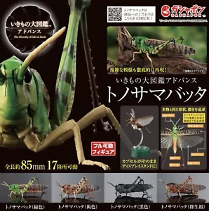 Bandai Premium Gashapon Migratory Locusta Migratoria Actionfigur - Bild 1 von 50