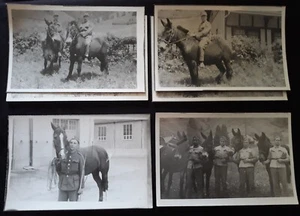 WW1 Switzerland  Swiss Soldier 1914/1918 Cavalerie 6 cartes photos n°732/7 - Imagen 1 de 7