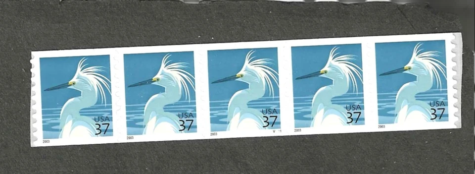 #3829a37c EGRET PNC STRIP/5 w/PL#V2111 - Image 1 of 1