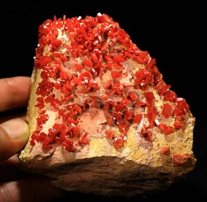 4.5" Superb Cherry Red Vanadinite Crystals on Matrix,  Morocco! ! V246 - Picture 1 of 6