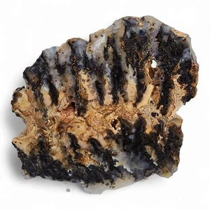Plume Achatplatte Oregon 146,2 Gramm. - Bild 1 von 2