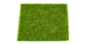 Tappetino per erba - Foto 1 di 2