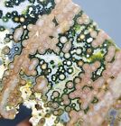 Collection ! Amazing Orbicular Ocean Jasper Agate Small Druzy Slab Reiki Stone
