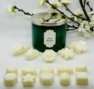 Bath and Body Works-White Barn Island Margarita cera fundida/tartas paquete de 10 - Imagen 1 de 2