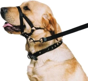 Ancol Nylon Training Halter. Size Medium 3-4 52 cm around neck 30 cm around sno - Picture 1 of 3