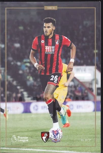 2016/17 BOURNEMOUTH V CRYSTAL PALACE 31-01-2017 PREMIER LEAGUE - Picture 1 of 1