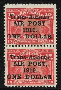 Terranova Scott #C2, #C2a (sin coma después del poste aéreo) en muy buen estado como nuevo con bisagras 1919 - Imagen 1 de 2