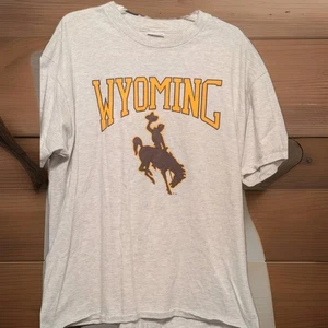 Camiseta De Colección Wyoming Cowboys Hanes Beefy T XL Gris Claro Gráficos Excelente  - Imagen 1 de 13