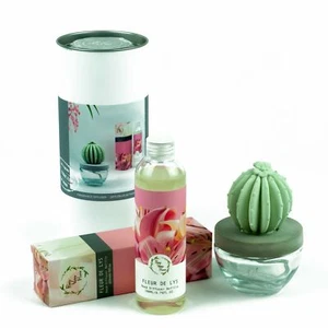 Pretty Valley Home Barrel Cactus Fragrance Diffuser Combo Fleur De Lys 200ml - Picture 1 of 3