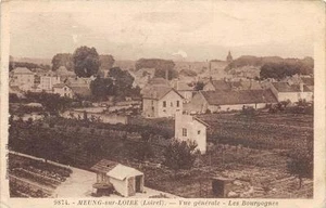 CPA 45 MEUNG SUR LOIRE VUE GENERALE LES BOURGOGNES - Picture 1 of 1