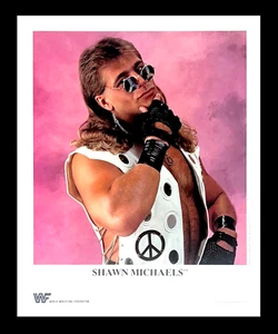WWE SHAWN MICHAELS P-212 OFFICIAL LICENSED ORIGINAL 8X10 PROMO PHOTO FROM 1994 - Picture 1 of 1