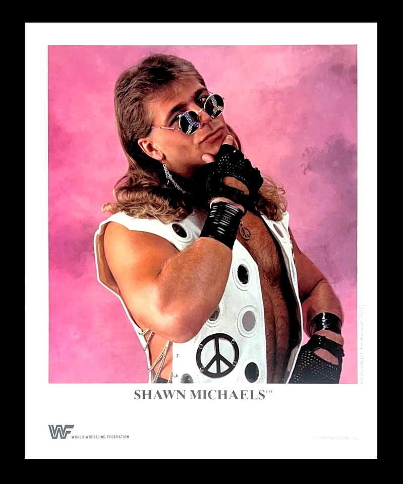 FOTO PROMOCIONAL 8X10 ORIGINAL CON LICENCIA OFICIAL WWE SHAWN MICHAELS P-212 DE 1994 Foto 1 de 1