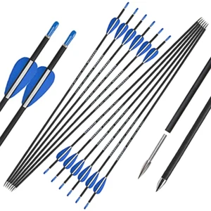 32" Archery Arrows Carbon Spine1200 Recurve Bow Target Points Hunting Shooting - Picture 1 of 16