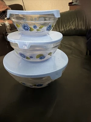 Juego de 3 cuencos de almacenamiento de alimentos florales resistentes al calor duraderos de vidrio imperial con tapas Foto 1 de 4
