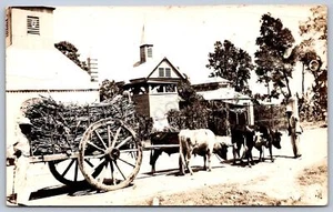 K16/ Haiti Foreign RPPC Postcard c1930s Native Ox Cart Men 414 - Picture 1 of 4