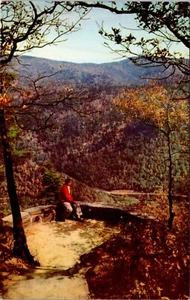Chestoa View Blue Ridge Parkway North Carolina Postcard - Picture 1 of 2