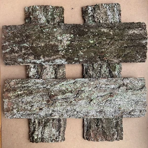 4 Stück getrocknete Eichenrinde Größe: 6,5 x 22", Baumrinde, Rinde, Basteln - Bild 1 von 5