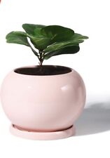 Elegant planter Ceramic plant Flower 4.2 Inches Large Indoor glaze Container