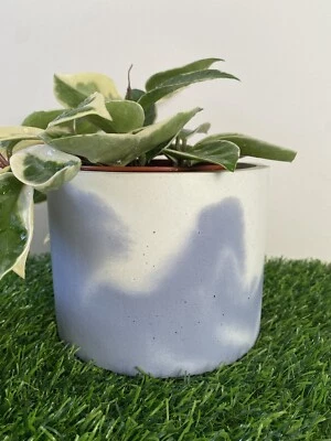 Round concrete planter pot, natural  stone beige  marble effect round planters - Image 1 of 3