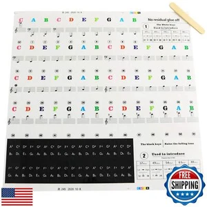 Ruiwaer 25/49/61/76/88 Keys Electronic Piano Keyboard Stickers Transparent Mu - Picture 1 of 5