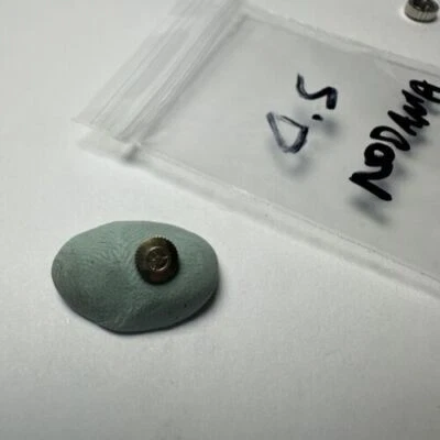 Corona dorada Rodania 4,5 mm vintage Foto 1 de 2