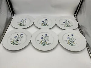 Set Of 6 Royal Worcester England Porcelain "Cornflower" Dinner Plates - Picture 1 of 7