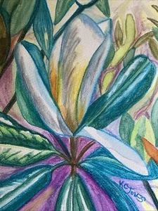 MAGNOLIA Water-soluble Crayon Painting Louisiana Mississipi flower K C Jones Art - Picture 1 of 6