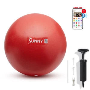 Sunny Health & Fitness Premium Pilates Ball 9 - SF-EB01-RD - Picture 1 of 8