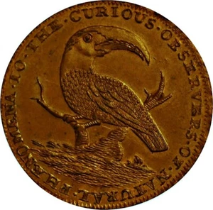MIDDLESEX. Token de medio centavo Hall's Toucan. DH 319C - Imagen 1 de 2