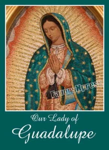IMÁN DE NUESTRA SEÑORA DE Guadalupe ~ regalo católico ~ 2 x 3 pulgadas - Imagen 1 de 1