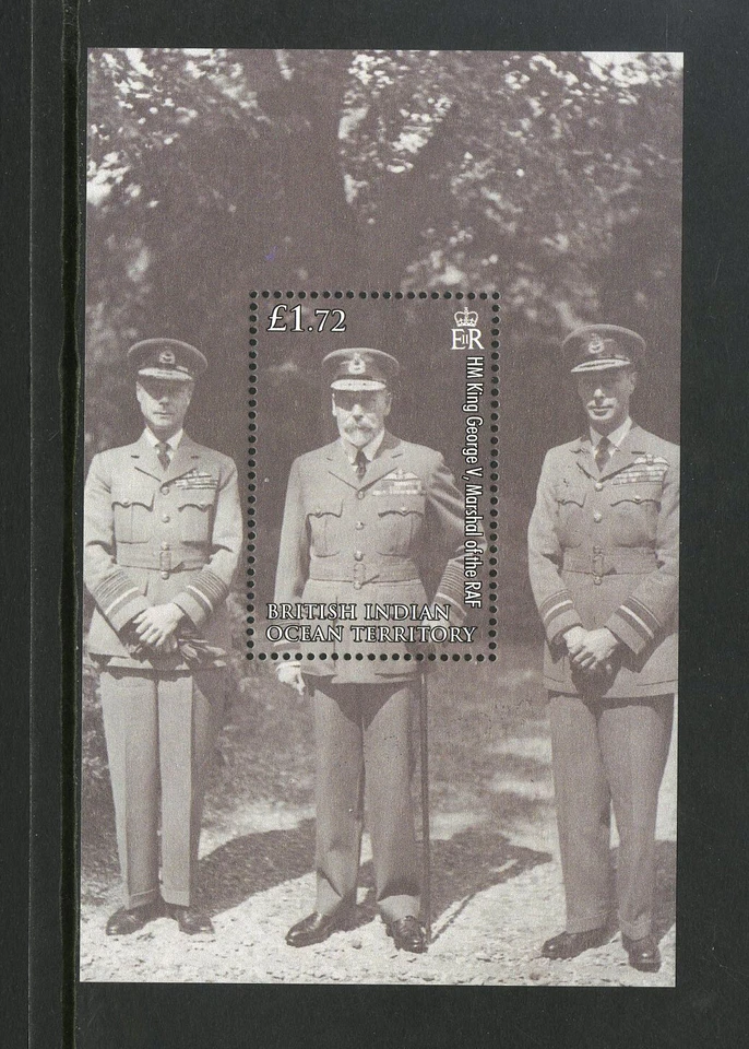 Mini hoja M5932 Territorio Británico del Océano Índico 2008 SGMS384 - 2008 RAF. Foto 1 de 1