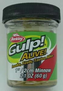 Berkley Gulp! Lebendig! Minnow - 1" - 2,1 Unzen Glas - Luma Glow - Bild 1 von 2